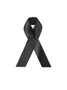 whatsapp image 2026-02-08 at 14.31.23.jpeg