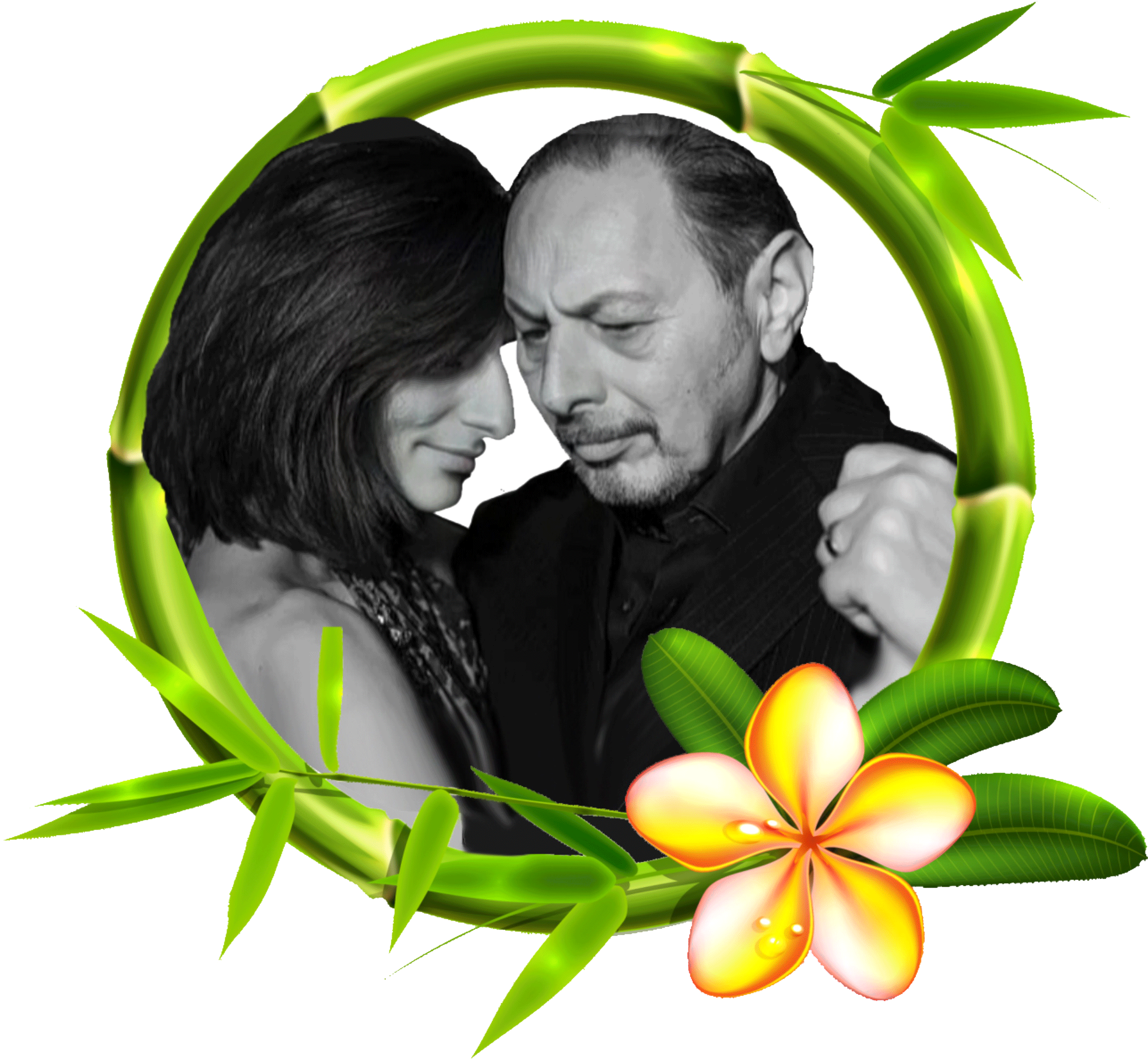 4bcf3769-809d-473b-b5db-b9ab657a317d