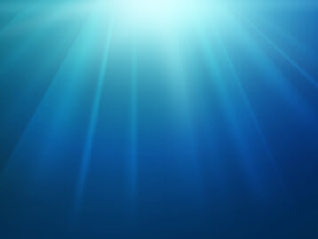 b48a2f4f-b3f1-4d44-ada3-3439687e7326 b48a2f4f-b3f1-4d44-ada3-3439687e7326