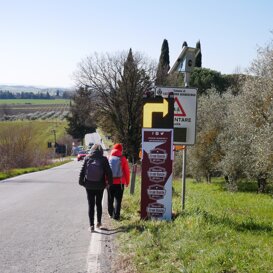 strade bianche 2023