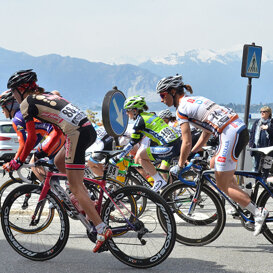 binda 14