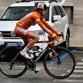 Varese 2014