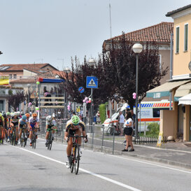 sul sile 19