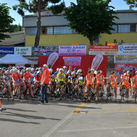 osimo 2014 gara