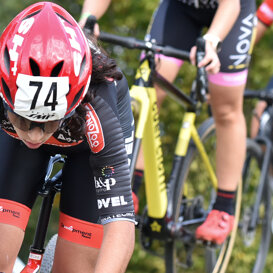 corridonia cross