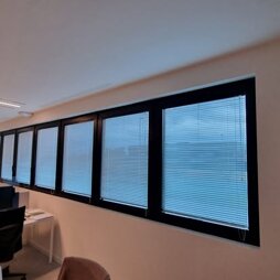 482206237_9113494332093062_5528139807768007257_n.jpeg 482206237_9113494332093062_5528139807768007257_n.jpeg