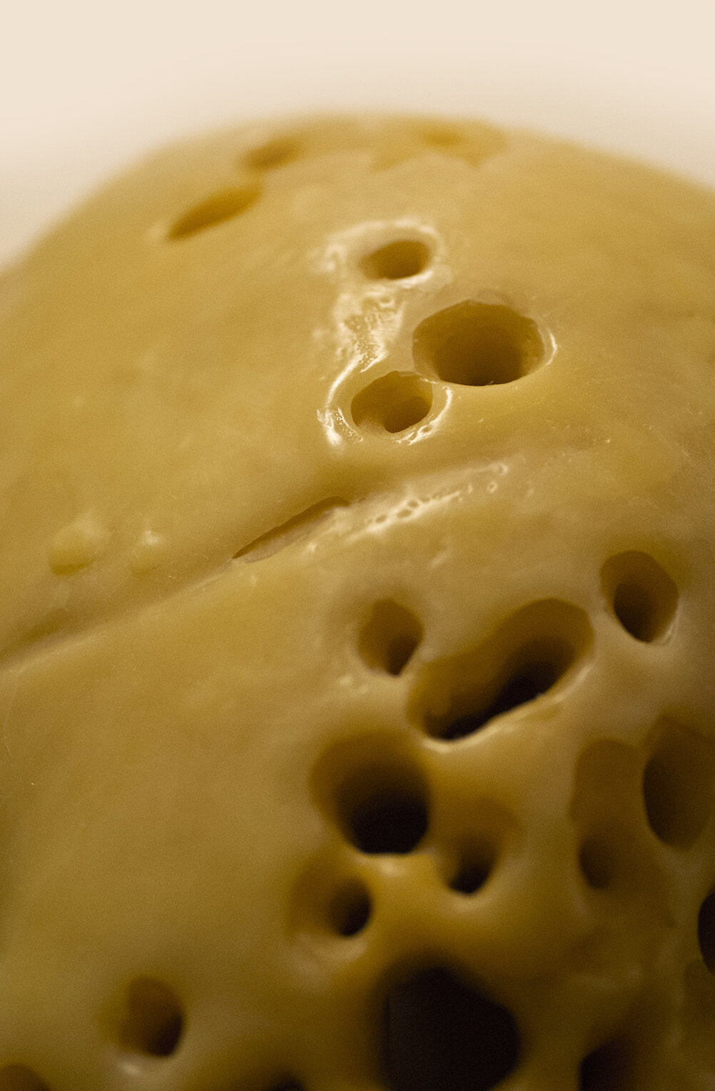 pietra 02_0002_group 4.jpeg