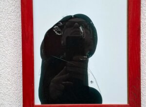 1e832f55-c4a5-4f07-8e0a-c0af9b19abbf