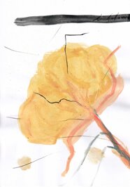 voltofiore+m@ccolonna.jpeg