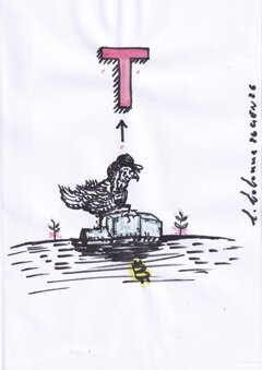 img_20260126_0003.jpeg img_20260126_0003.jpeg