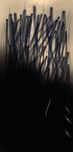2sk+mm@ccolona.jpeg