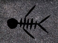 giaiauomopesce+m@ccolonna.jpeg giaiauomopesce+m@ccolonna.jpeg