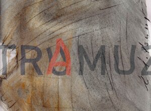 donaldtrump+33+a@ccolonna.jpeg donaldtrump+33+a@ccolonna.jpeg