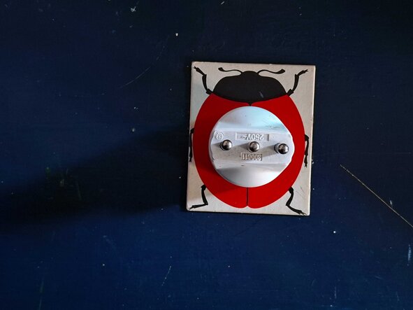 coccinella+m@ccolonna.jpeg coccinella+m@ccolonna.jpeg