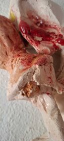 donnacane+2+m@ccolonna.jpeg