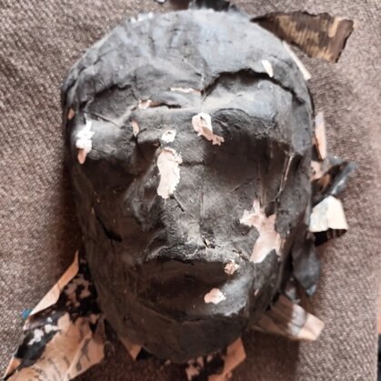 20230820_080730.jpeg 20230820_080730.jpeg