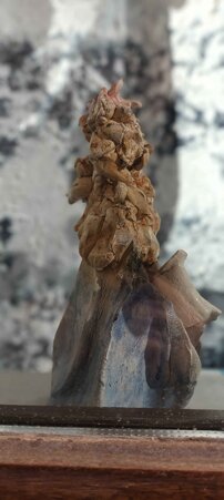 9e442ca5-925d-4325-923e-93f5368dd887