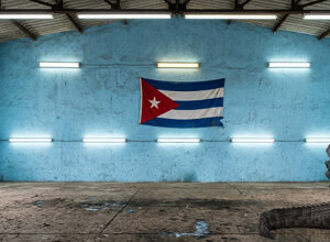 ceasefirenow+1+b@ccolonna.jpeg ceasefirenow+1+b@ccolonna.jpeg