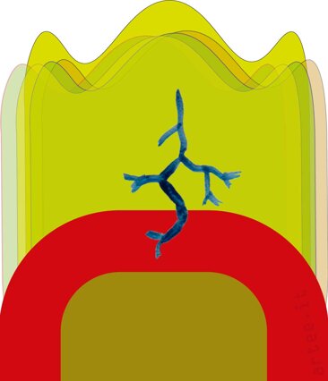 fpbmcrepam@ccolonna.jpeg fpbmcrepam@ccolonna.jpeg