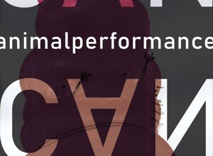 2017a241-f5da-40cc-823a-830fa02f5046