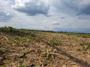 22mar26h13e23+b@ccolonna.jpeg 22mar26h13e23+b@ccolonna.jpeg