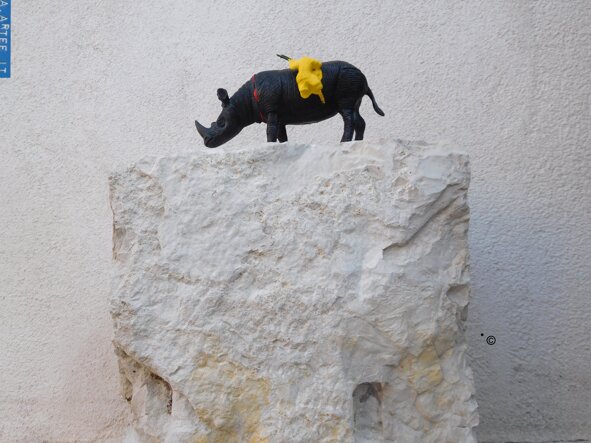 rinocerontesette+@artee.jpeg