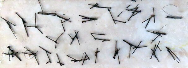 chiodisaldaticopertinaartee+1+m@ccolonna.jpeg chiodisaldaticopertinaartee+1+m@ccolonna.jpeg