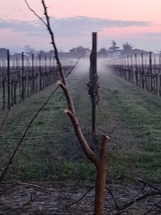 13mar26h06e08+m@ccolonna.jpeg 13mar26h06e08+m@ccolonna.jpeg