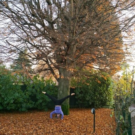 0d12686b-7bea-4003-9c99-7c97a059566f 0d12686b-7bea-4003-9c99-7c97a059566f