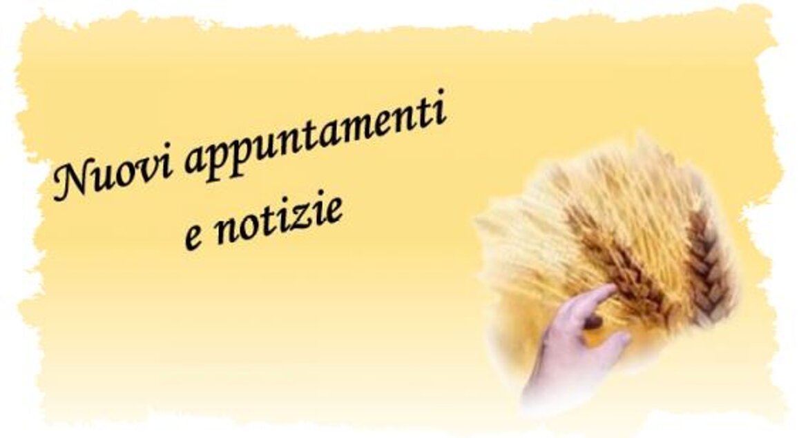 8baa9dd1-6104-4eaa-a367-9a984ec3dd1d