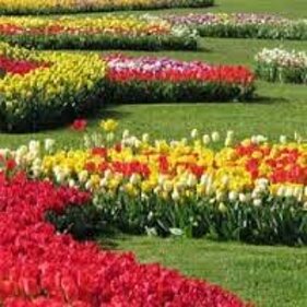 838fc8df-15a5-47ab-8368-6422e98ad51c