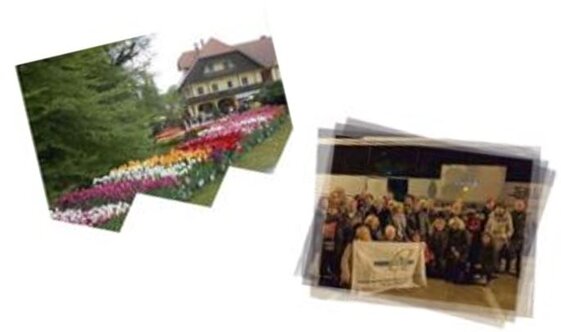 7e8b885d-73ea-4fe6-85fd-357e1a6dde29