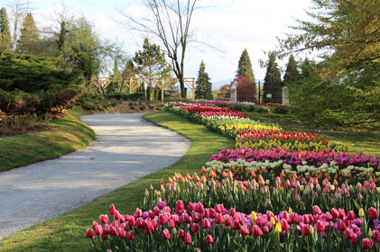 32cf5536-10dc-4e48-a313-b24ddbd2993b