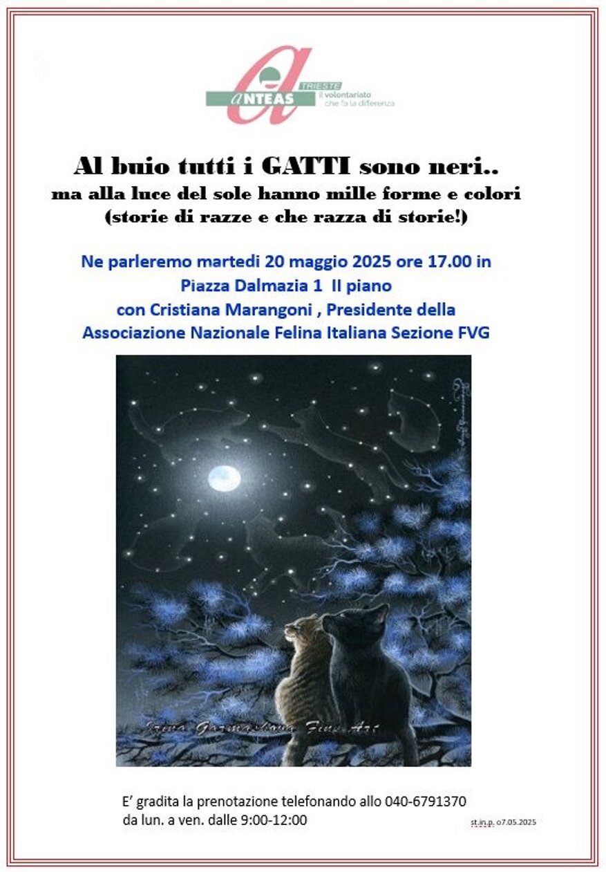 cffeebce-13f7-4c56-b894-3f13ebc46a5e cffeebce-13f7-4c56-b894-3f13ebc46a5e