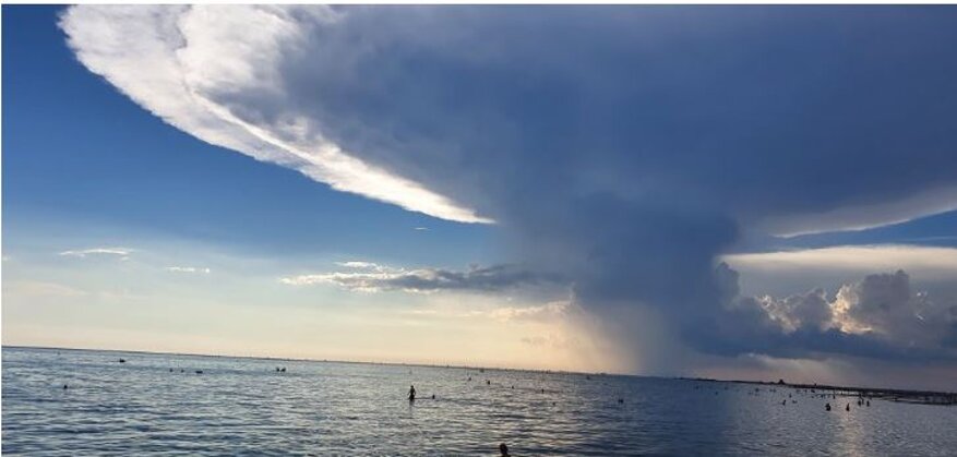 fbd48c8f-231c-4033-adfc-856a368b14ba