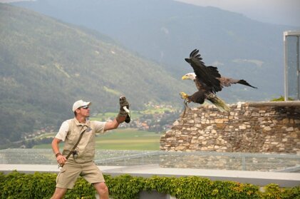 439a5af5-6212-452a-a4cd-d011371f7664