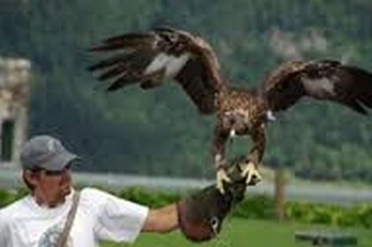 de3c6809-9887-405a-8c8c-5203520fe3d6