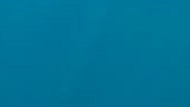 79e5fc1a-50c0-4531-86b6-063900f5619b