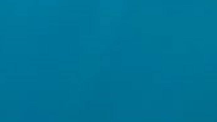 c48cd16a-2d02-4f8b-a4fa-0ee15120056b