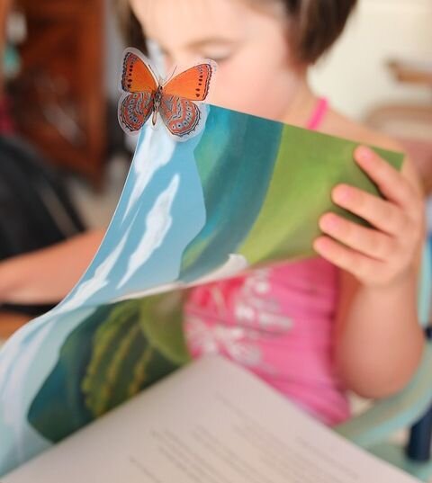 b78081cb-2d84-485f-97e1-6c5c10cf7043