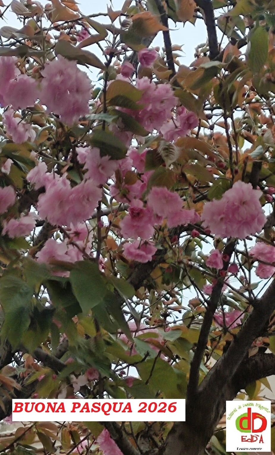 c263d8ae-748b-47e1-b2d6-79774a662da3 bis.jpeg