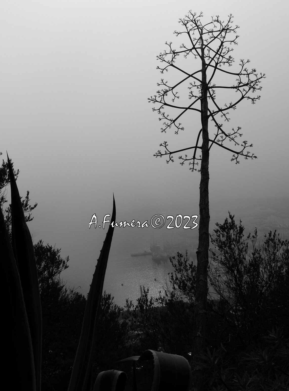 eea2a13c-b3db-480d-b227-e021a82e924d