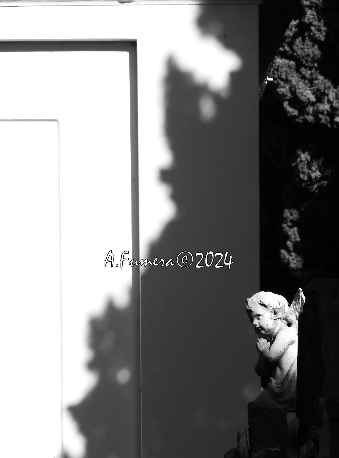 734ba822-b869-4182-b2be-1e80969ad304