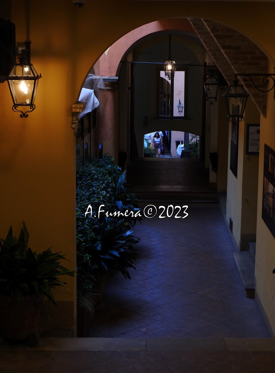 2fe1172f-f78a-4c1e-8073-126250c346b0