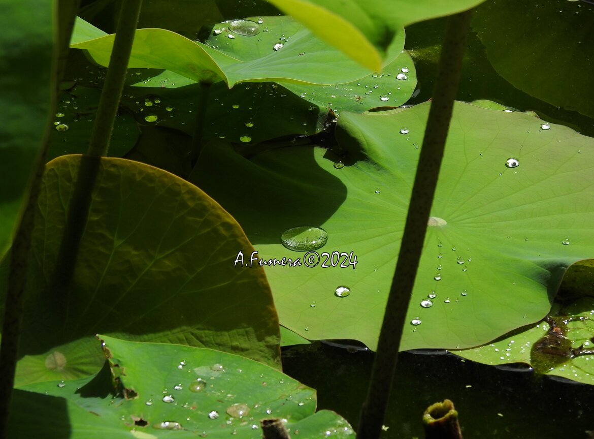 72bc1481-4b2d-45d8-8636-ff1f66cee3d3
