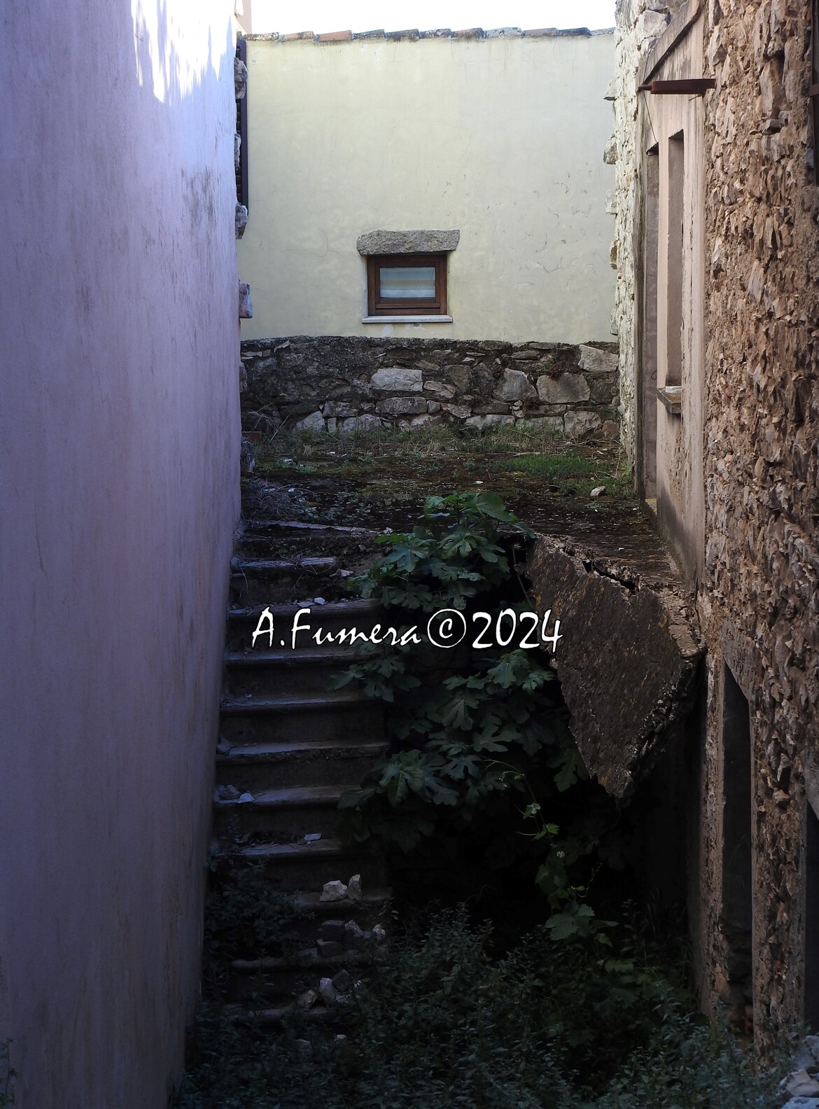 6e9be768-44e8-4dbb-b42e-7f654156dfd4