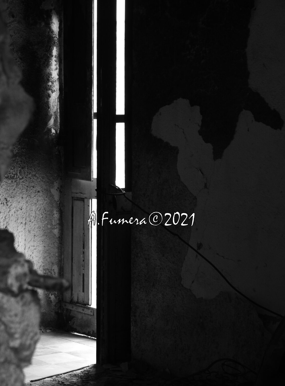 d48872db-c821-43ff-8a33-d4210c91763d