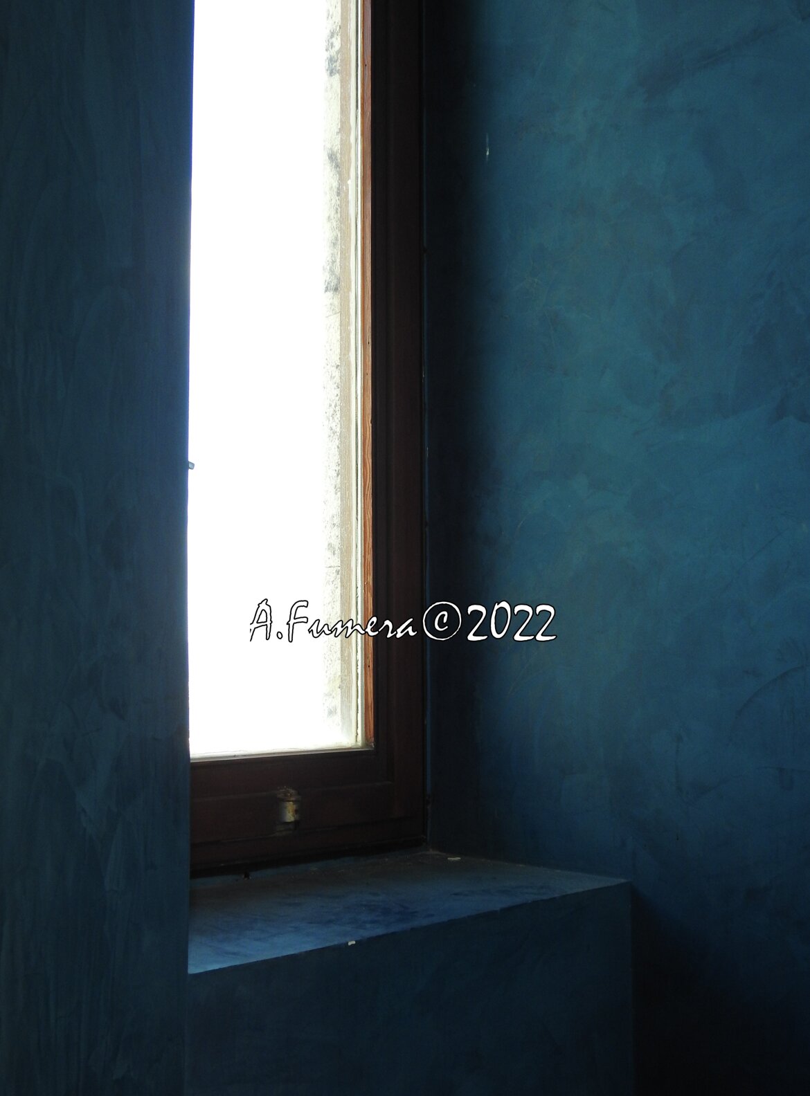 0411dba1-4d63-43ae-b051-f15899a5836a