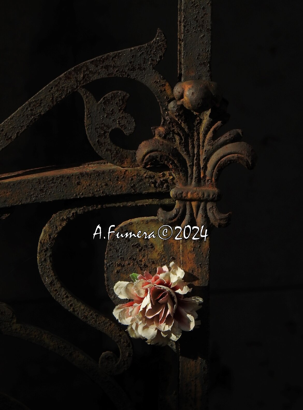 49ca06f7-76ed-49b4-a304-f9844113f9bd