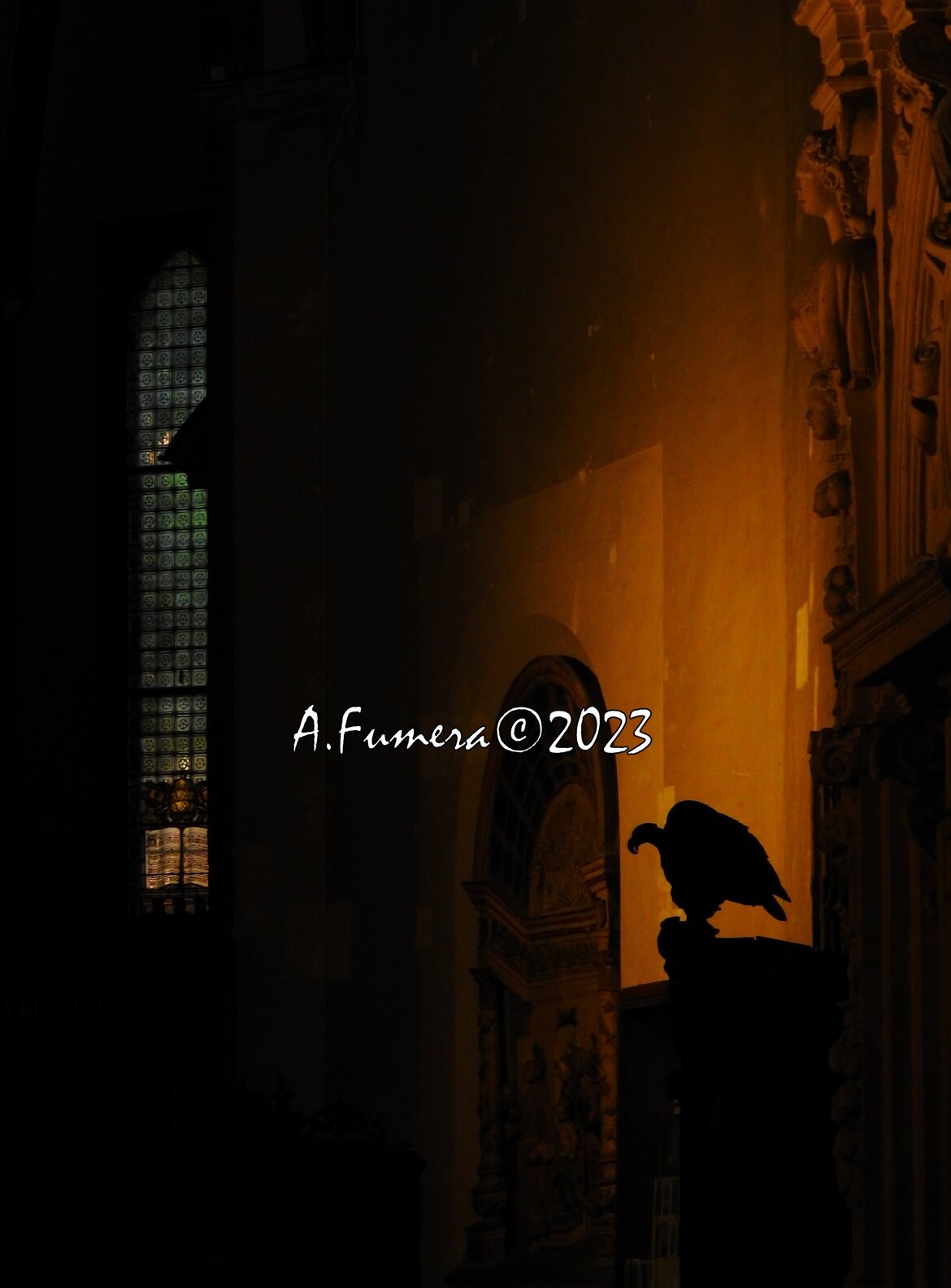 ca364685-8bab-453d-956c-0106bbf3ee91